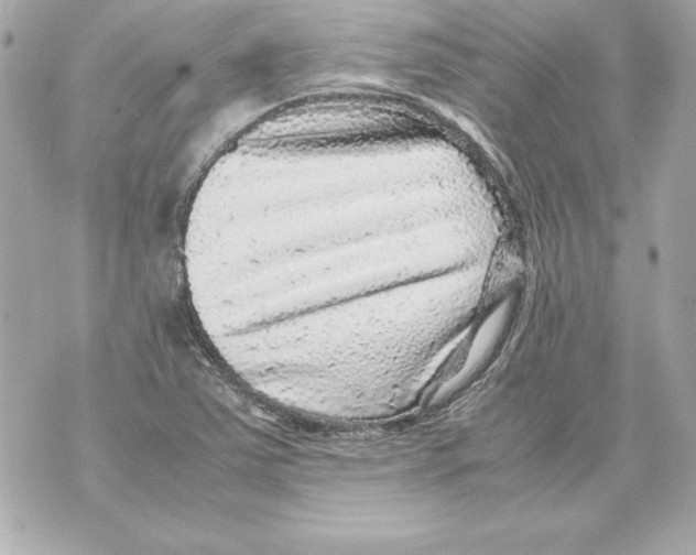 X0000070411363200607072258