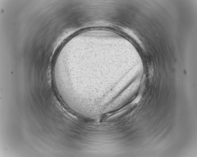 X0000070411364200607072258