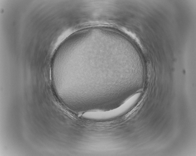 X0000070411365200607072258