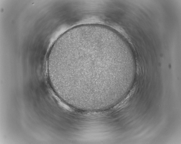 X0000070411366200607072258