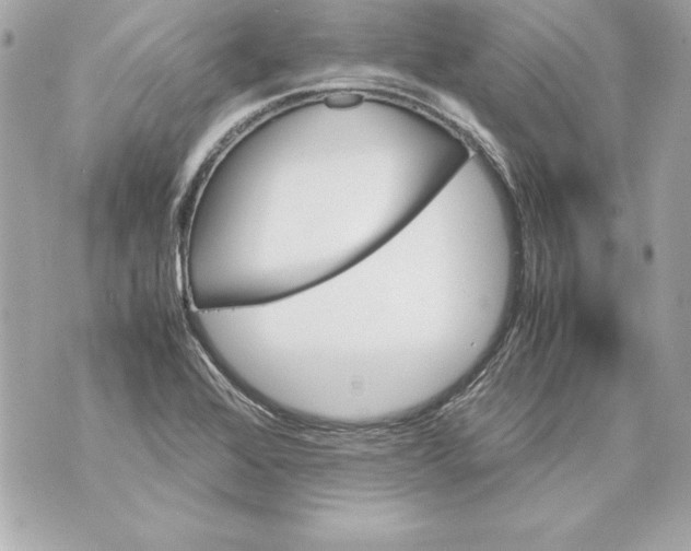 X0000070411368200607072258