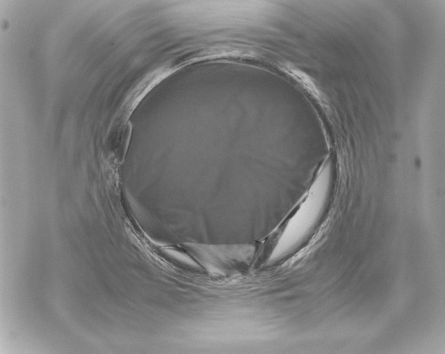 X0000070411369200607072258