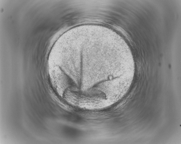 X0000070411371200607072258