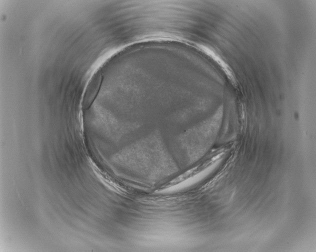 X0000070411372200607072258