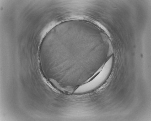 X0000070411373200607072258