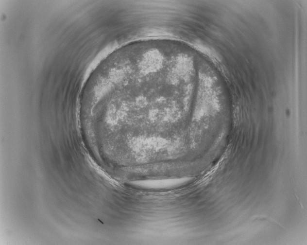 X0000070411374200607072258