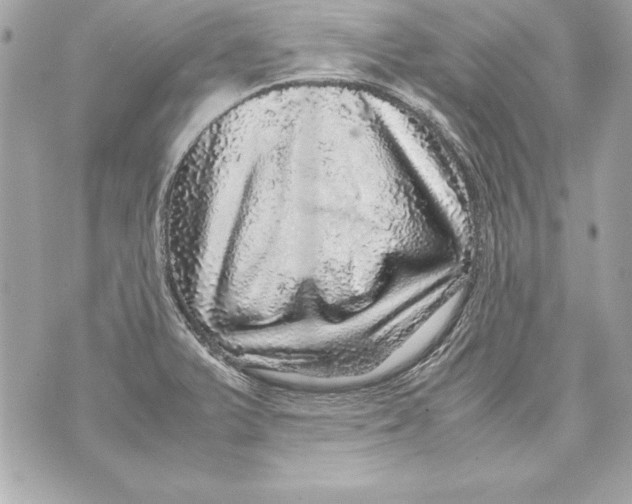 X0000070411375200607072258