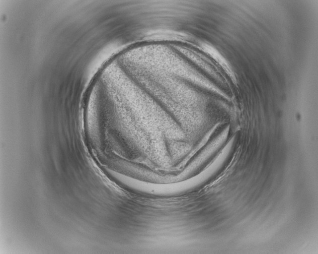 X0000070411376200607072258