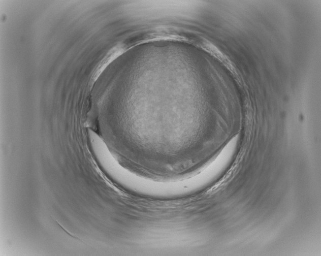 X0000070411377200607072258