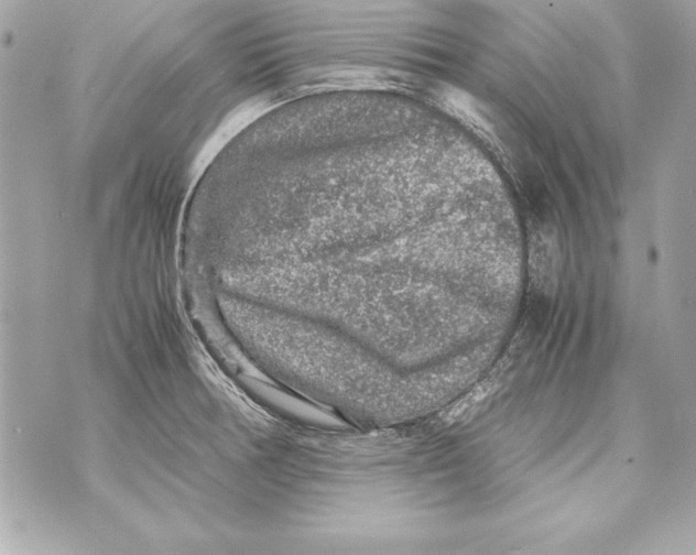 X0000070411378200607072258