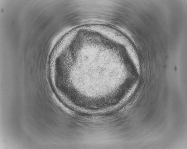 X0000070411379200607072258