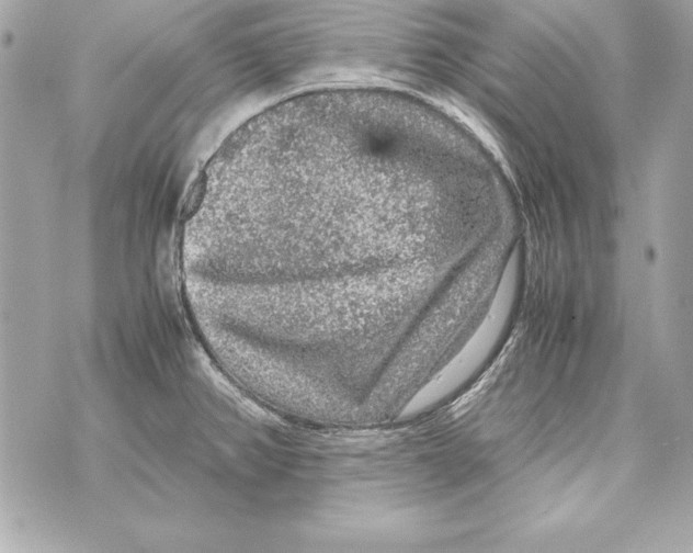 X0000070411382200607072258