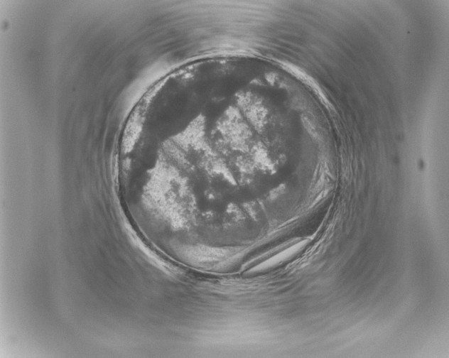 X0000070411383200607072258