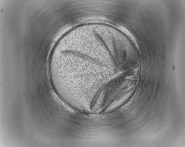 X0000070411384200607072258