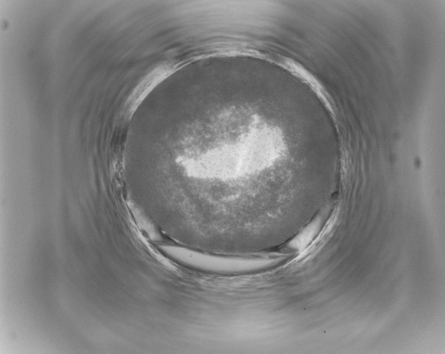 X0000070411385200607072258