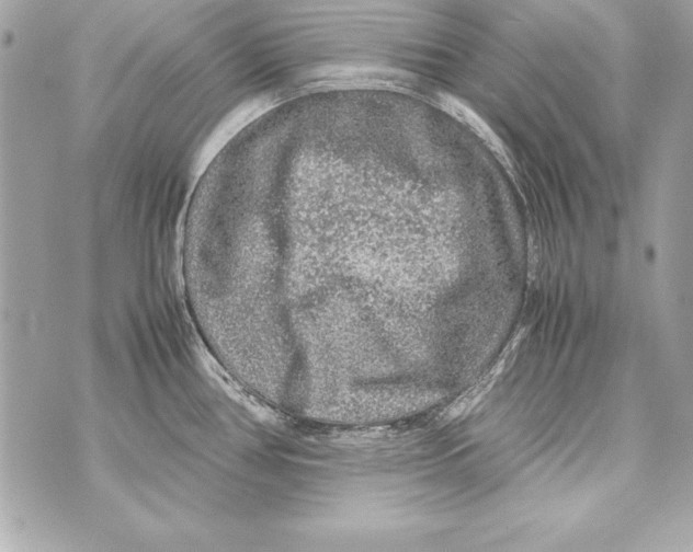 X0000070411386200607072258