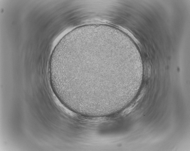 X0000070411387200607072258