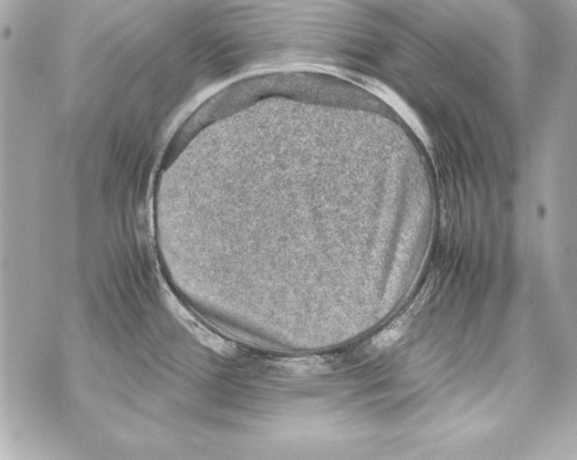 X0000070411388200607072258