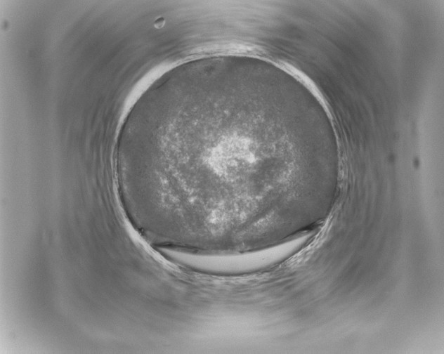 X0000070411389200607072258