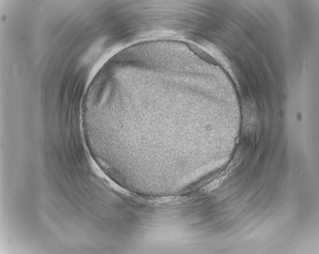 X0000070411390200607072258