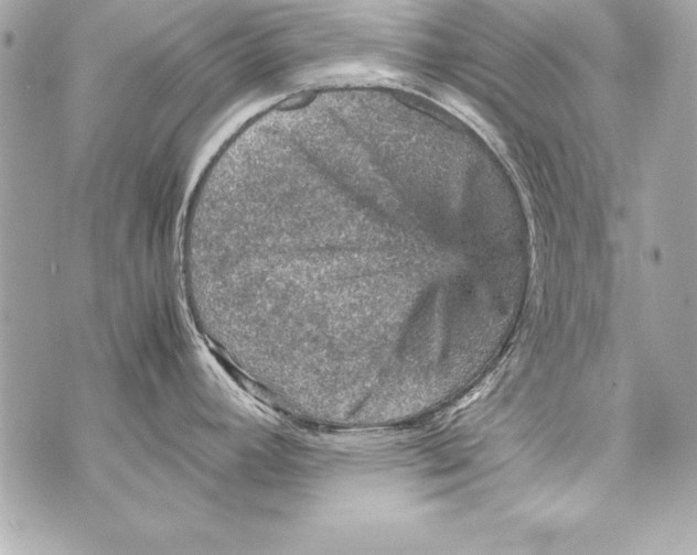 X0000070411392200607072258