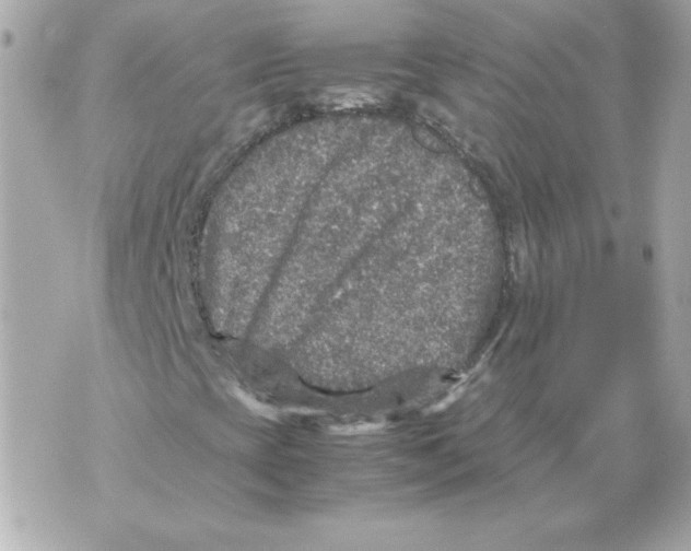 X0000070411393200607072257