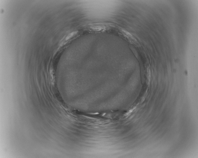 X0000070411394200607072257