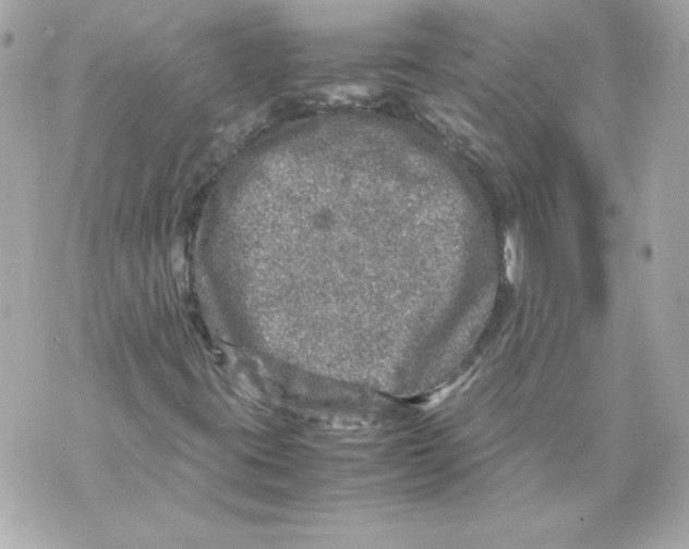 X0000070411395200607072257