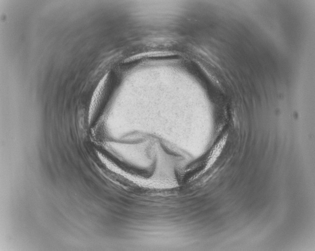 X0000070411396200607072257