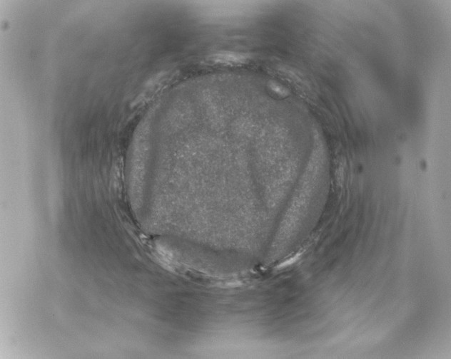 X0000070411397200607072257