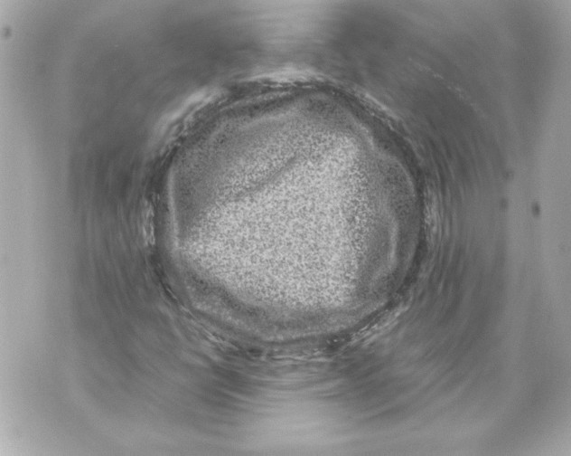 X0000070411398200607072257