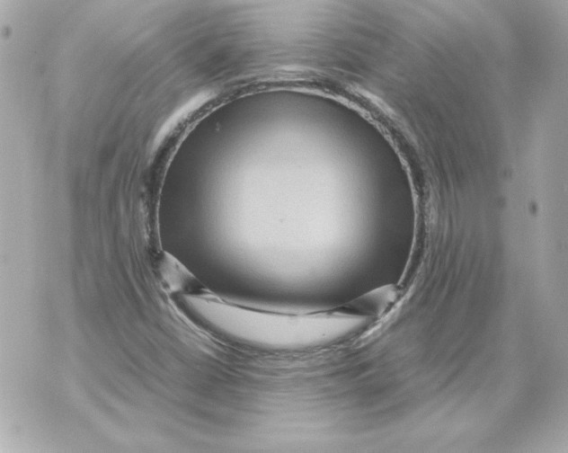 X0000070411402200607072257