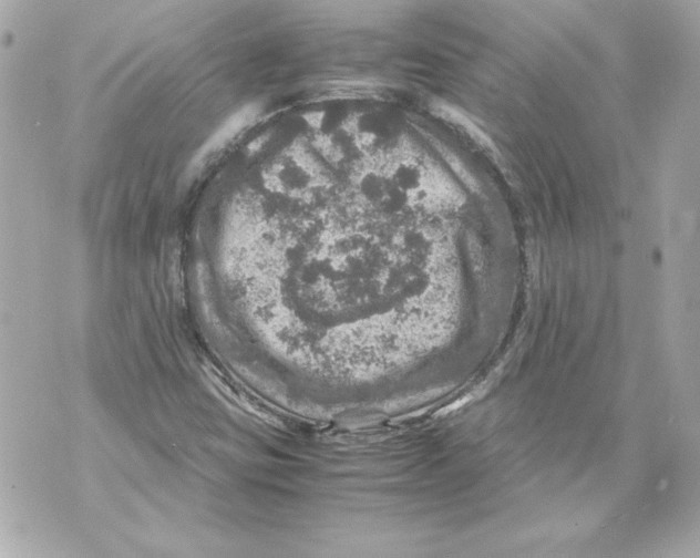 X0000070411403200607072257