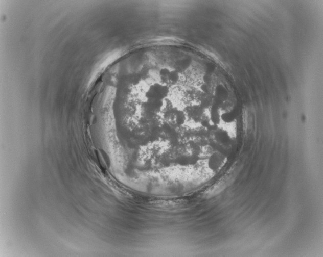 X0000070411405200607072257