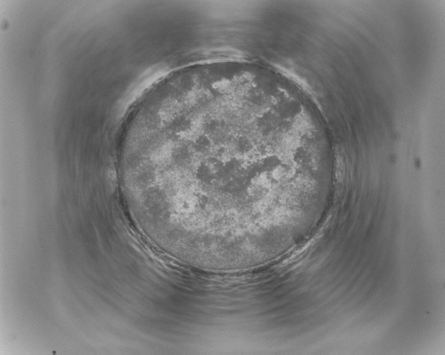 X0000070411407200607072257