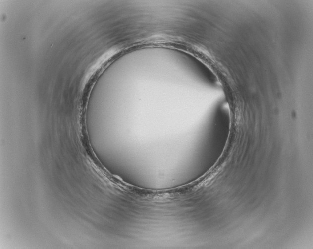 X0000070411410200607072257