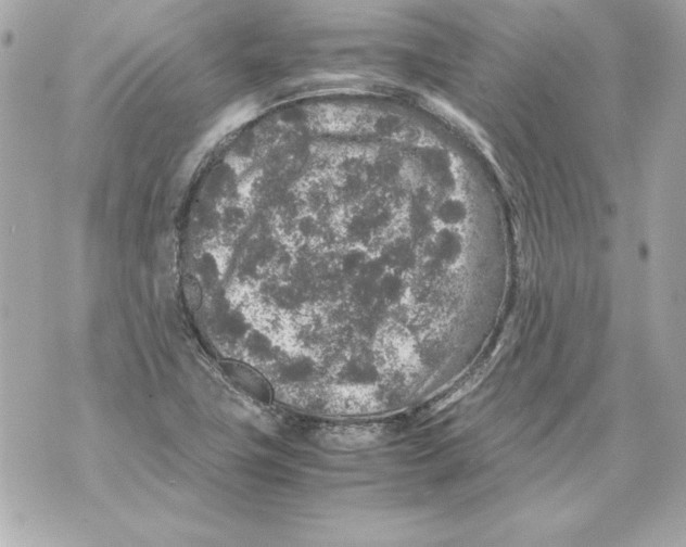 X0000070411411200607072257