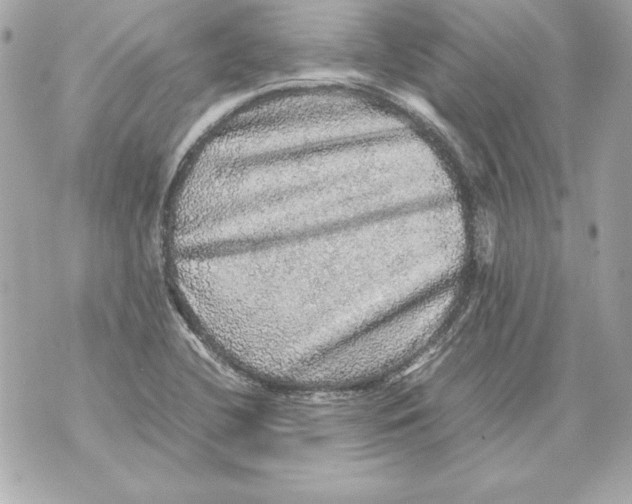 X0000070411412200607072257