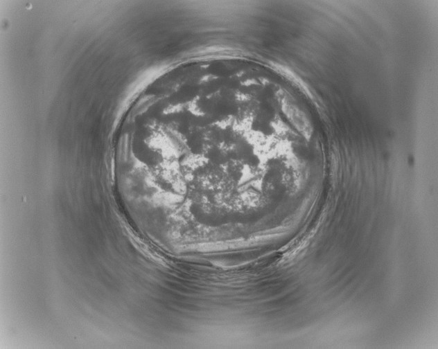 X0000070411413200607072258