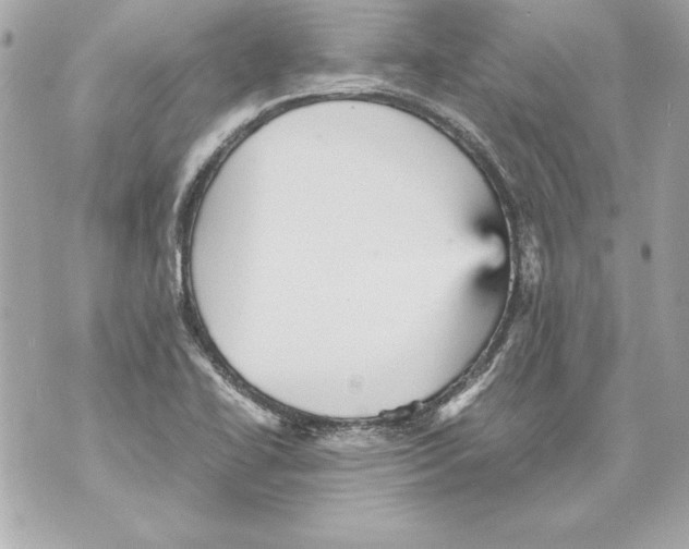 X0000070411414200607072258