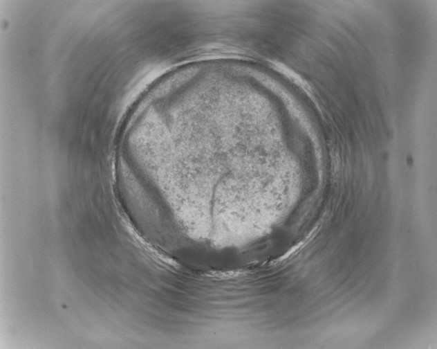 X0000070411415200607072258