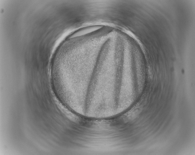 X0000070411416200607072258