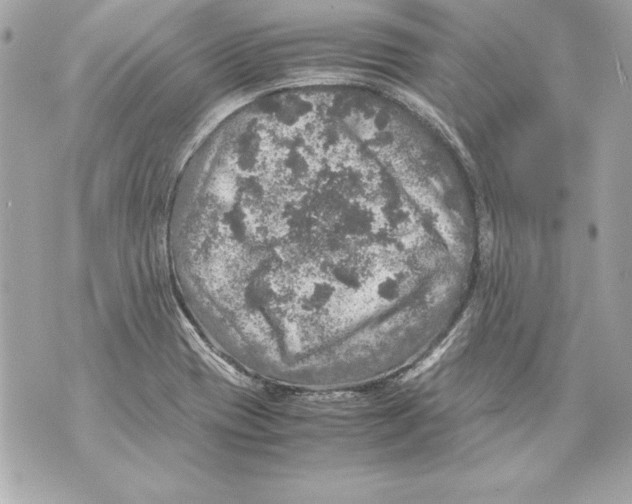 X0000070411417200607072258