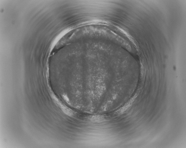 X0000070411418200607072258