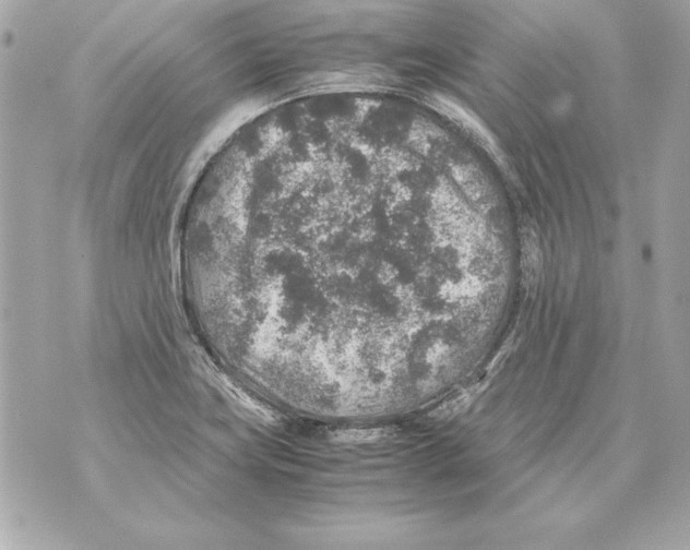 X0000070411419200607072258