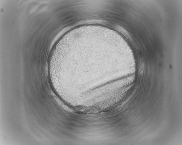 X0000070411420200607072258