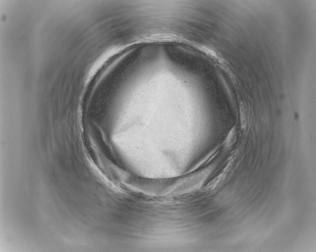 X0000070411422200607072258