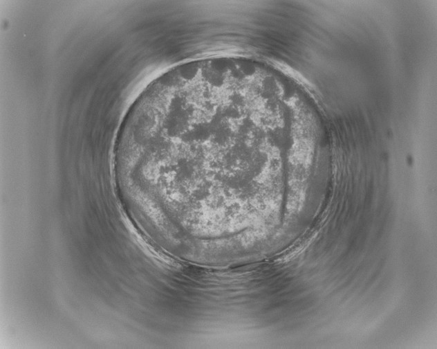 X0000070411423200607072258