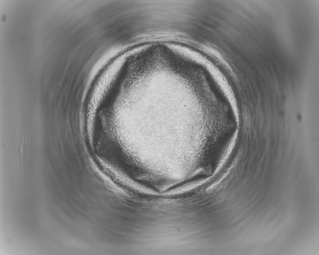 X0000070411424200607072258