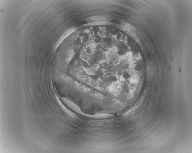 X0000070411425200607072258